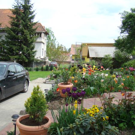 gradina in mai 2010